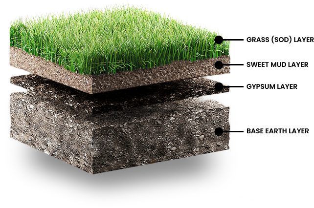 Grass SOD Layers